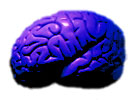 Blue Brain