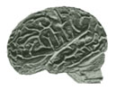 brain_1