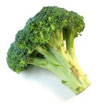 broccoli.jpg