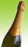 Champagne Bottle
