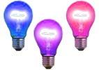 Light Bulbs