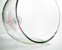 Lipstick glass