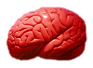 Red Brain