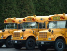 Schoolbuses