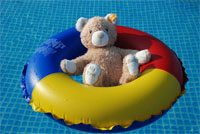 teddy